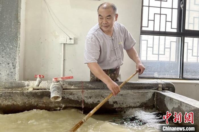 铅山连四纸制作技艺 · 真实工艺实物 / 代表作品参考，新增60 · 真实工艺图已稳定收录