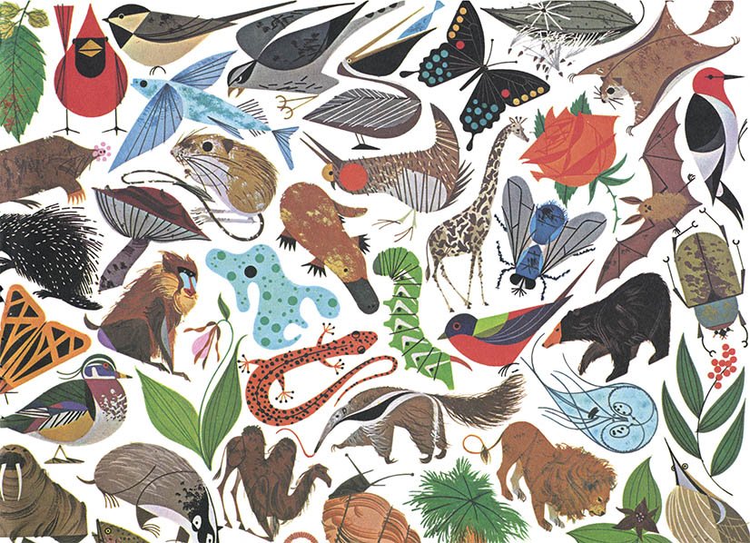 Charley Harper 代表作示例