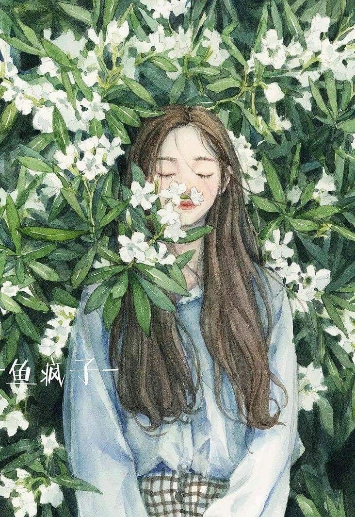 植物系插画档案 治愈插画示例